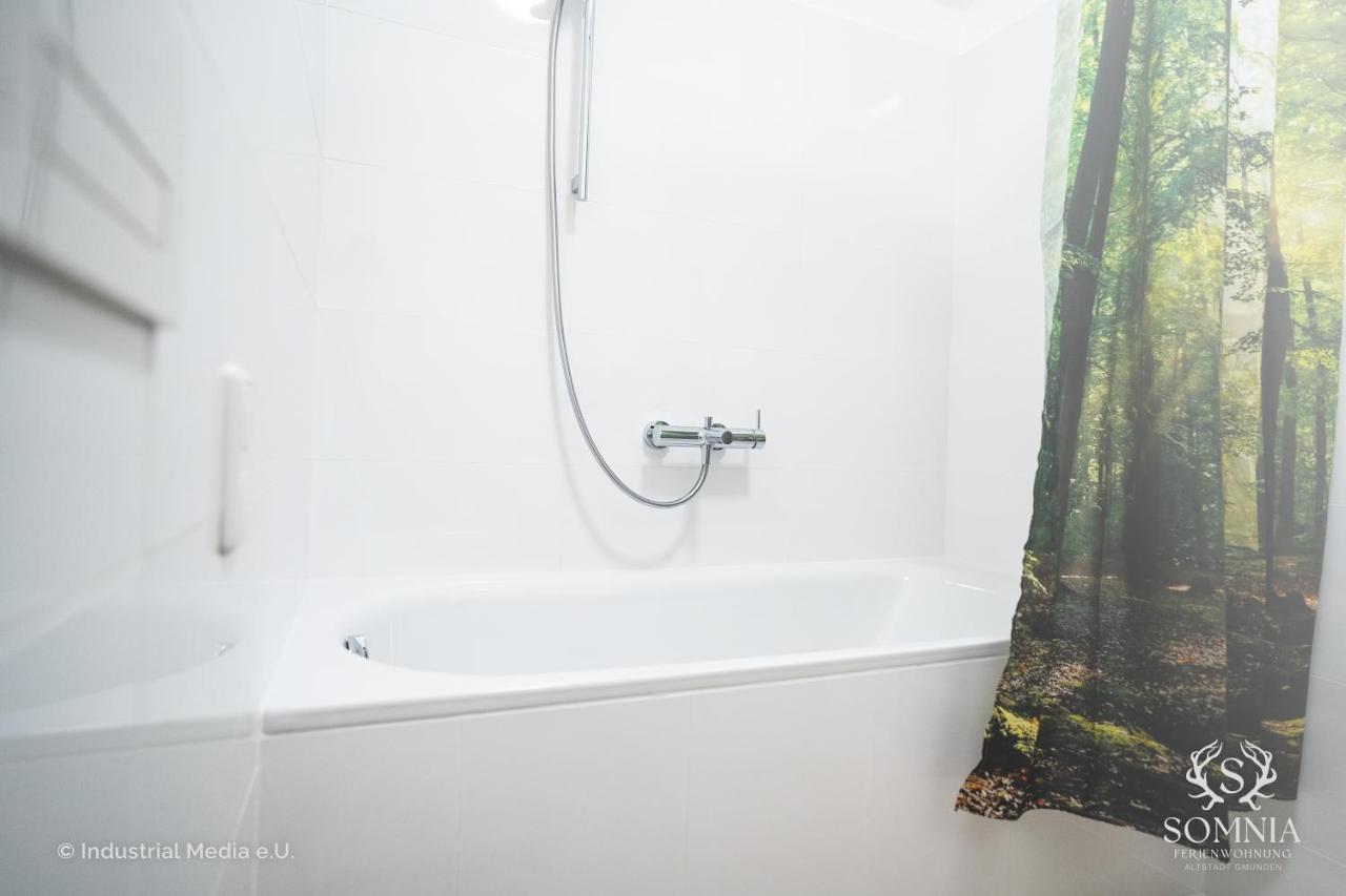 Ferienwohnung Somnia - Altstadt Gmunden Dış mekan fotoğraf